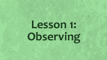 Lesson 1 - Observing Behavior