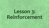 Lesson 3 - Reinforcement